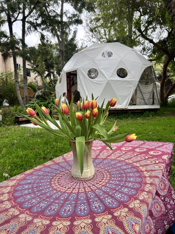The exterior of the geodesic Aum Dome behind a table of tulips