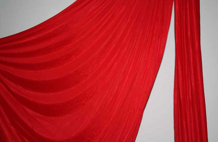 Red Somatic Swing fabric